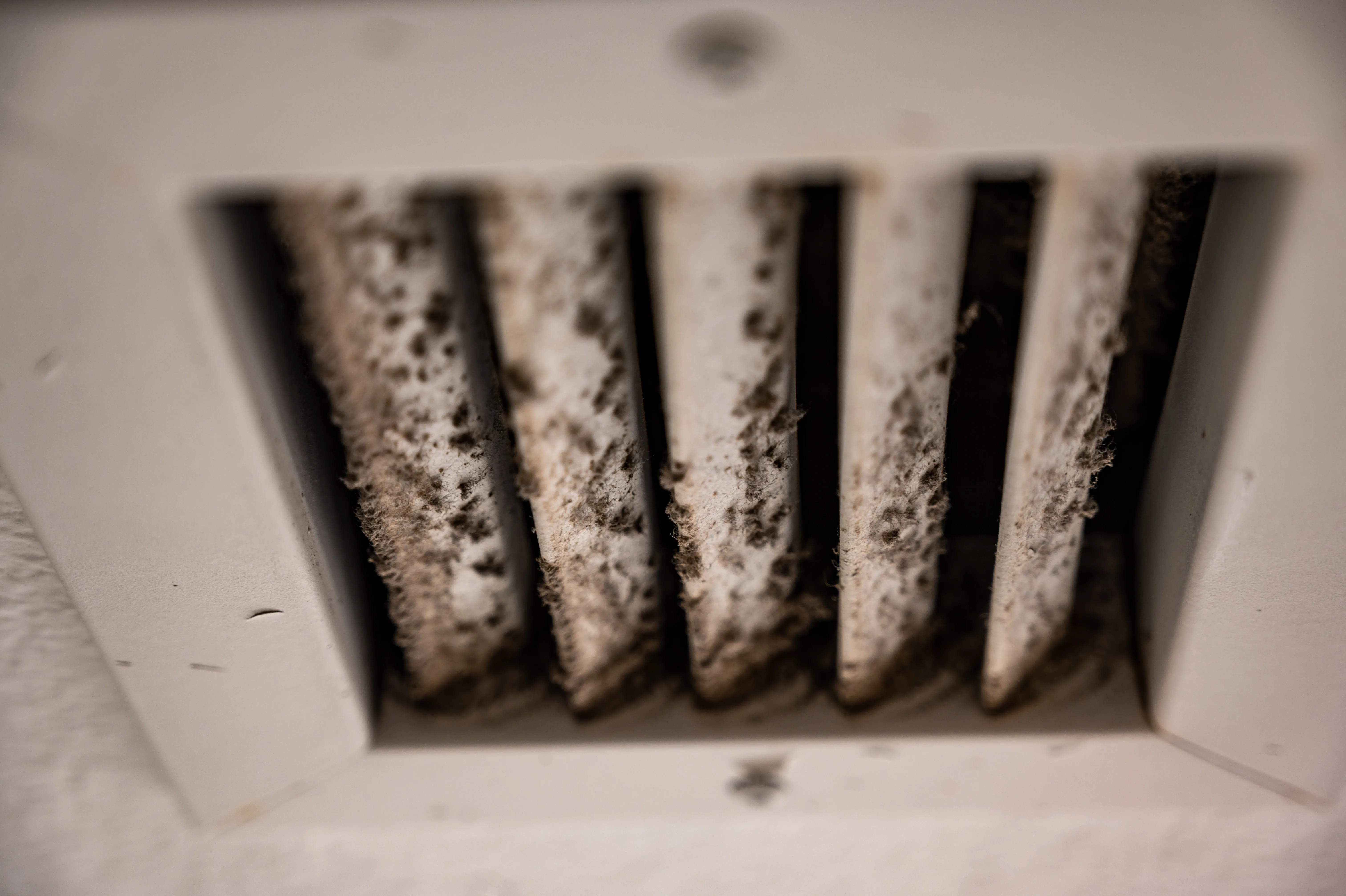 5 Ways We Improve Your Property Management Services